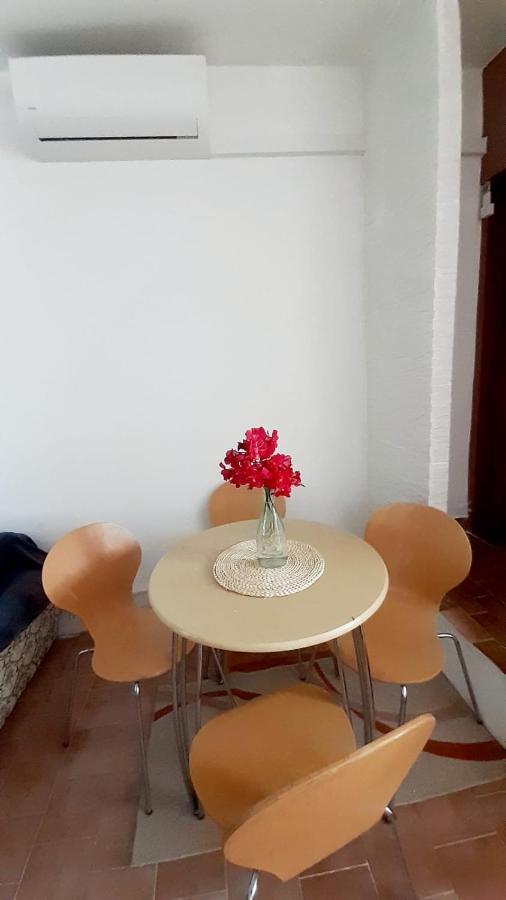 Apartman Ivan 비르 외부 사진